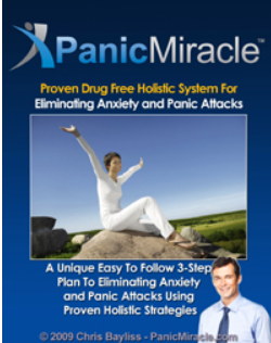 The Panic Miracle System book cover.