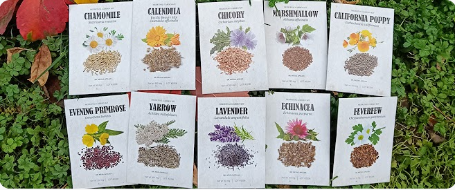 Seed packs of herbs, such as calendula, chamomile, chicory, echnacea and others, on top of a green bush.  