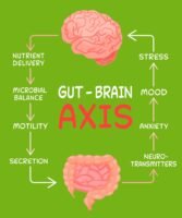 gut-brain axis