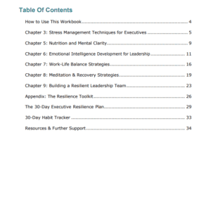Executive Resilience Workbook